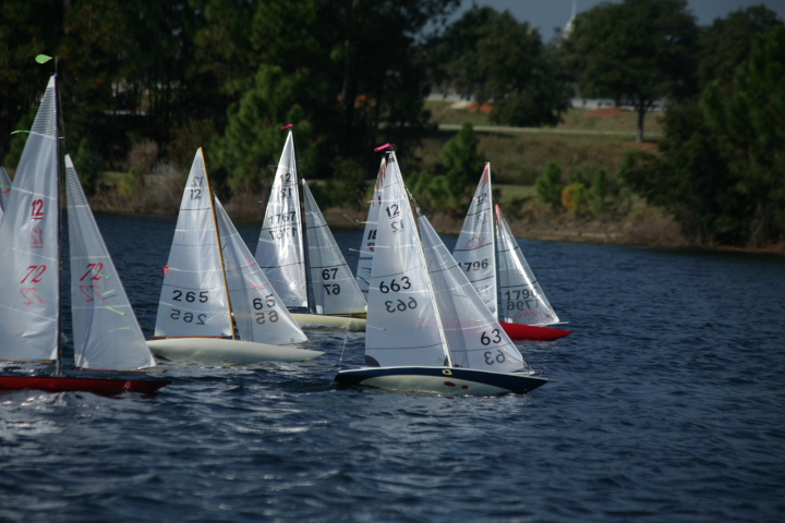 jax regatta _sat191