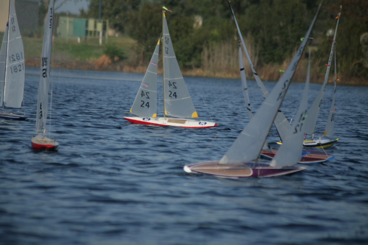 jax regatta _sat324