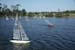 jax regatta _sat52